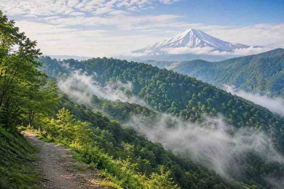 جنگل الیمستان