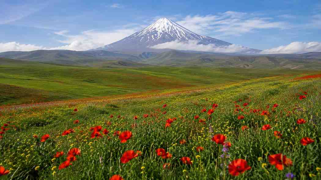 دشت لار کجا
