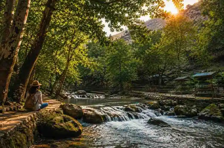 سراب گیان؛ راهنمای سفر به جنگل و چشمه‌های نهاوند