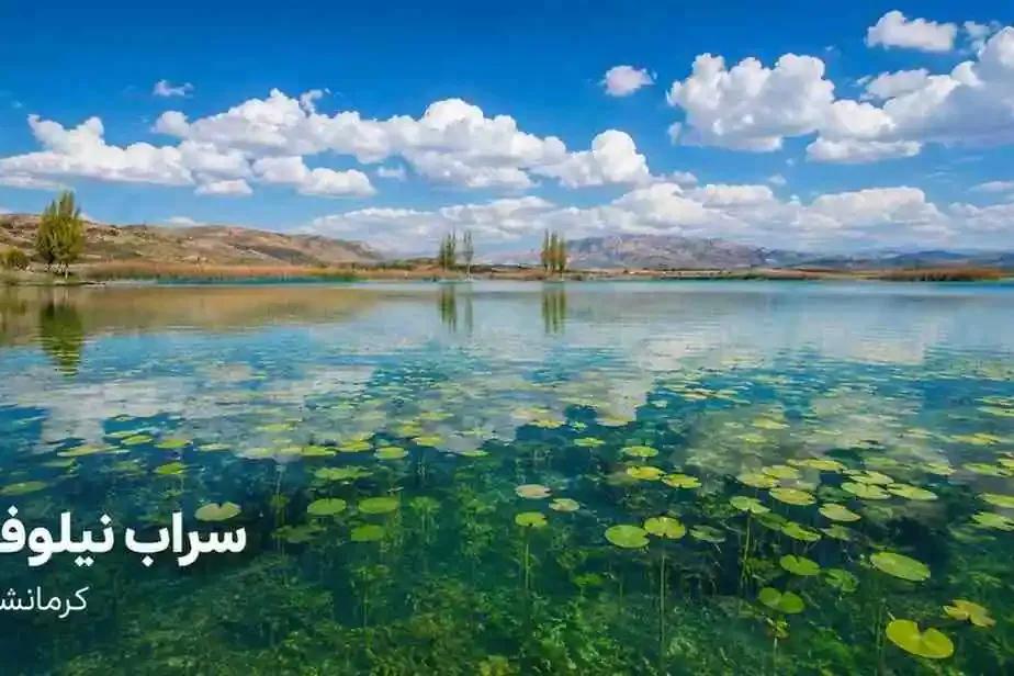 سراب نیلوفر
