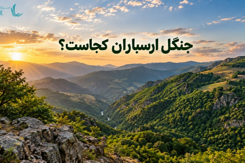 جنگل ارسباران در آذربایجان شرقی