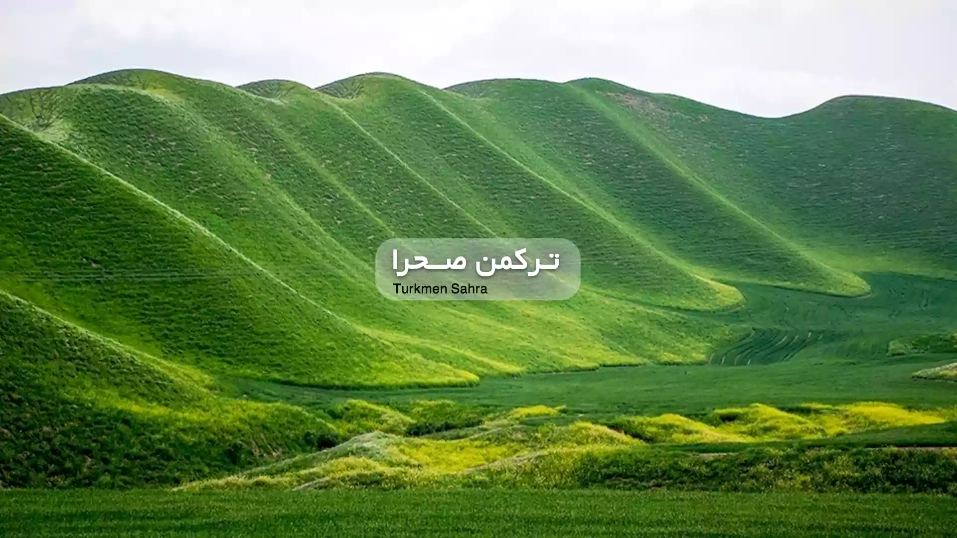 تور قطار ترکمن صحرا