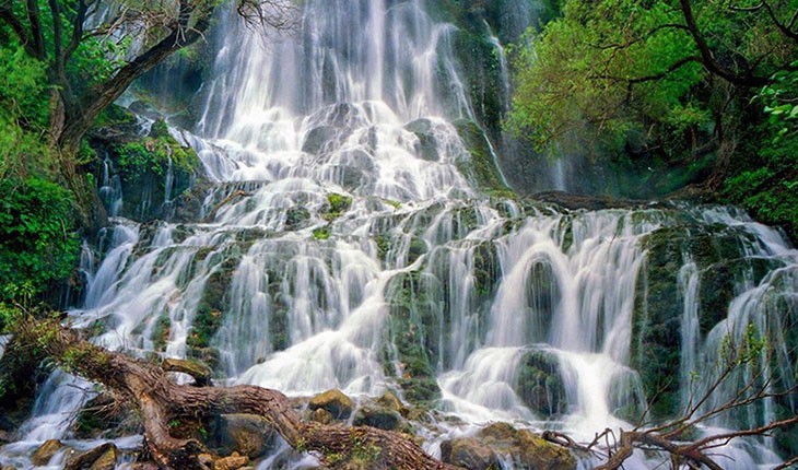 آبشار شوی