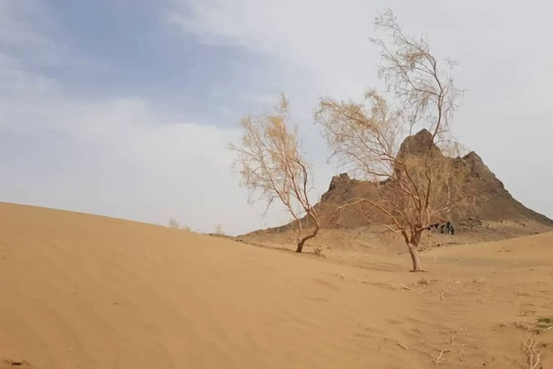 کویر حلوان طبس
