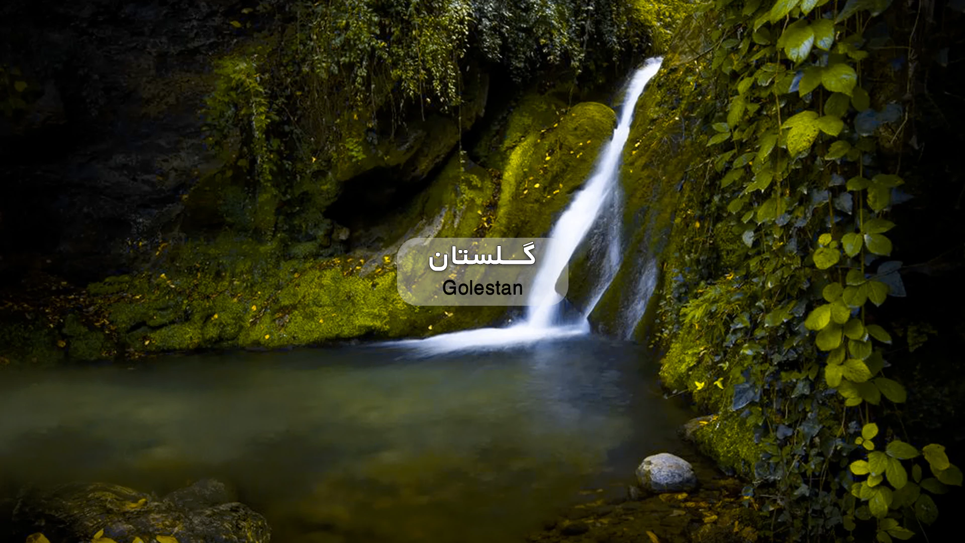تور گلستان